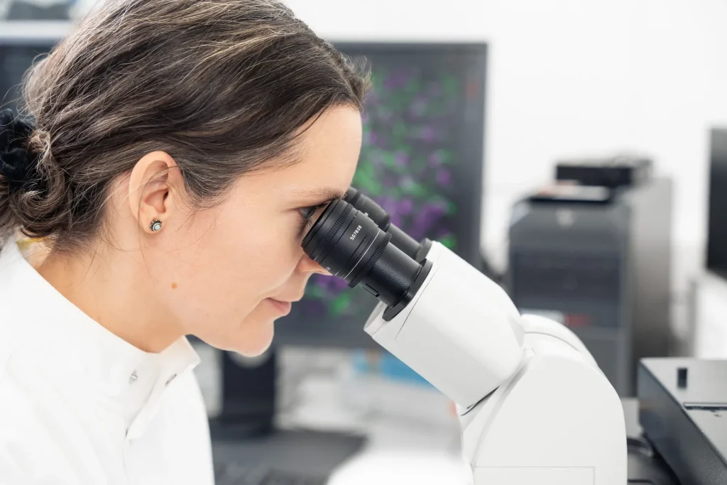 Events in spring and summer 2026