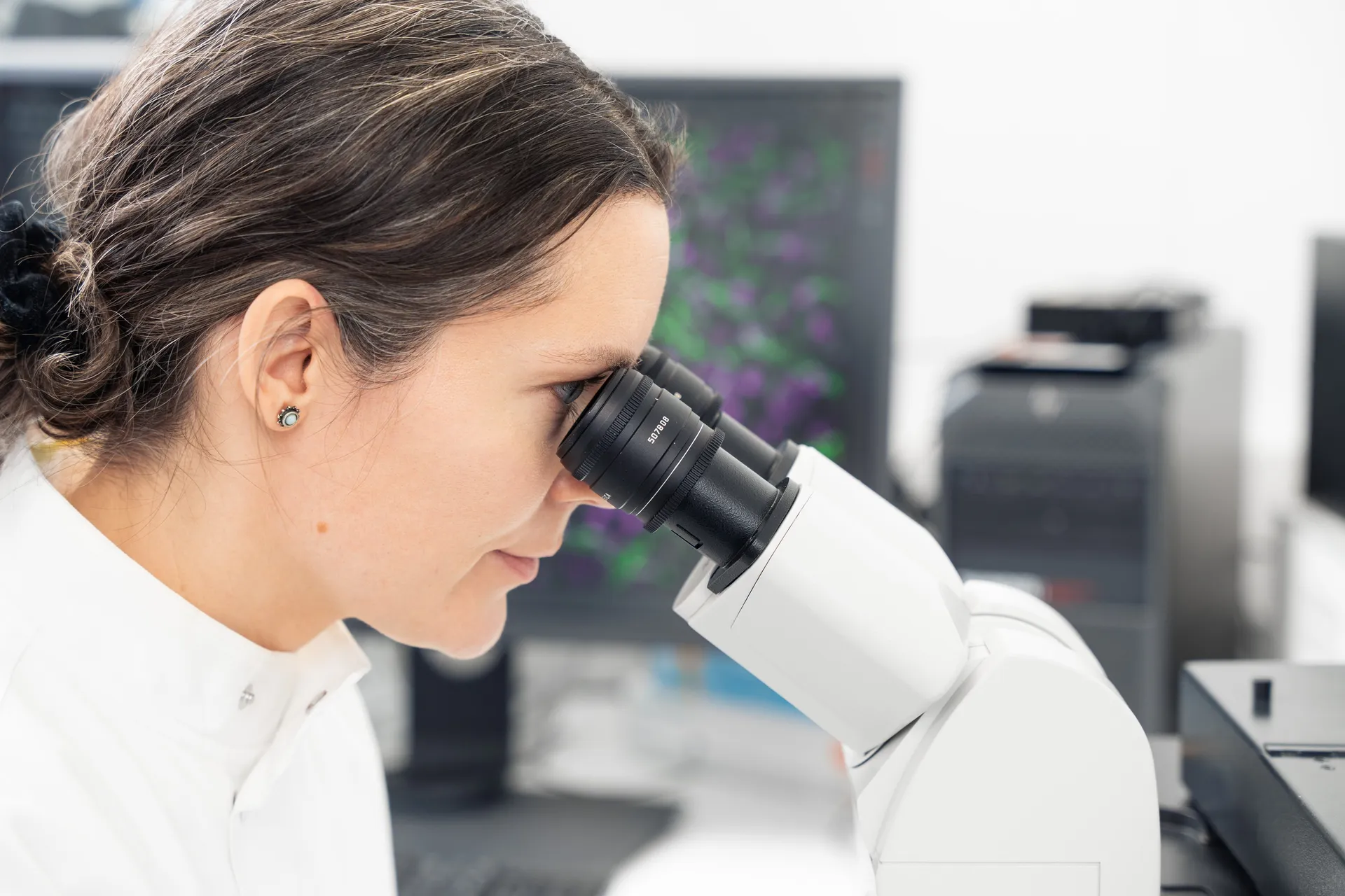 Events in spring and summer 2026