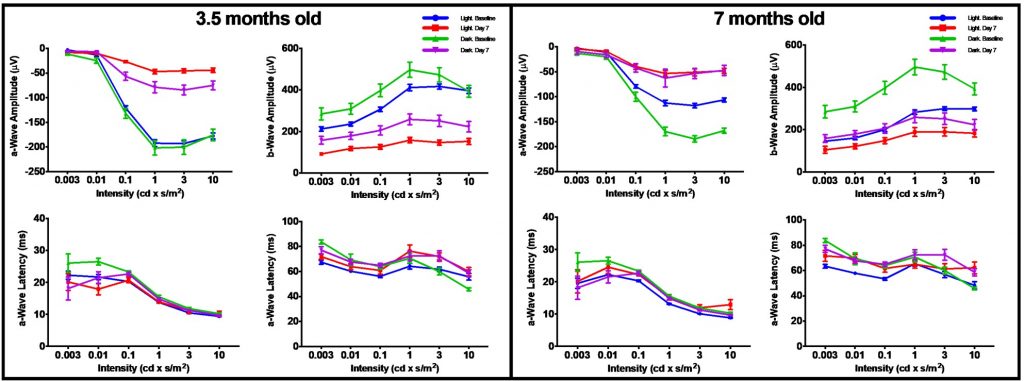 Figure 3. fERG results in young and old mice at baseline and seven days after BLE.