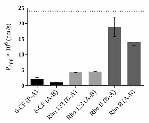 Fig. 2. The apparent permeability coefficient (Papp, cm/s) values for the standard molecules across human induced pluripotent stem cells (PCi-RPE1426).