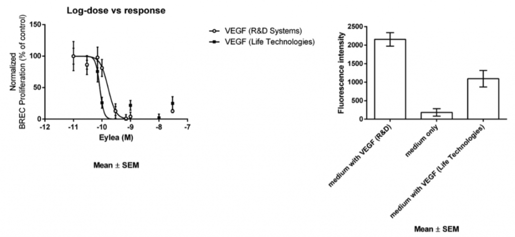 Fig. 2. A dose-dependent inhibition of rhVEGF-induced (R&D Systems and Life Technologies) BREC proliferation by aflibercept (Eylea®) at concentrations 0.01 to 30 nM.