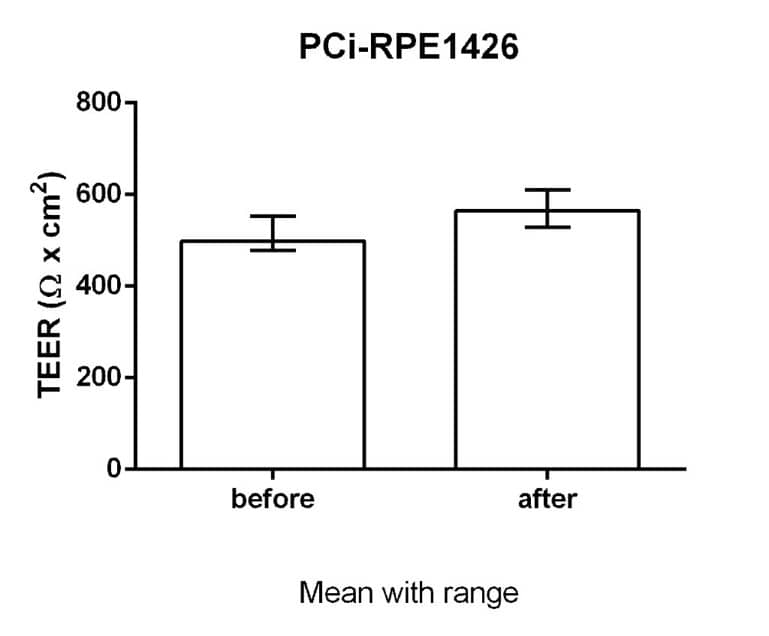 Fig. 3. Transepithelial electrical resistance (TEER) values were measured before and after the permeability experiments from the PCi-RPE1426 cell monolayers cultured and differentiated in Transwell® cell culture inserts for 29 days. 